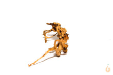 Lade das Bild in den Galerie-Viewer, Moorwurzel Nr.19 | 23x7x15cm (BxHxT)