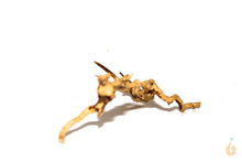 Lade das Bild in den Galerie-Viewer, Moorwurzel Nr.20 | 22x6x14cm (BxHxT)