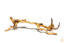 Lade das Bild in den Galerie-Viewer, Moorwurzel Nr.20 | 22x6x14cm (BxHxT)