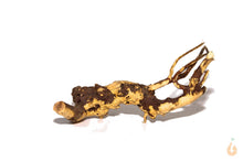 Lade das Bild in den Galerie-Viewer, Moorwurzel Nr.2 | 21x9x16cm (BxHxT)