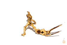 Lade das Bild in den Galerie-Viewer, Moorwurzel Nr.20 | 22x6x14cm (BxHxT)