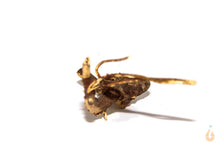 Lade das Bild in den Galerie-Viewer, Moorwurzel Nr.2 | 21x9x16cm (BxHxT)