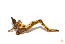 Lade das Bild in den Galerie-Viewer, Moorwurzel Nr.23 | 20x6x10cm (BxHxT)