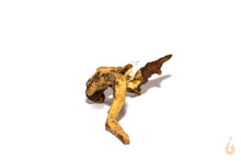 Lade das Bild in den Galerie-Viewer, Moorwurzel Nr.23 | 20x6x10cm (BxHxT)