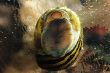 Lade das Bild in den Galerie-Viewer, Zebra Rennschnecke / Napfschnecke | Vittina / Neritina turrita