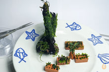 Lade das Bild in den Galerie-Viewer, Nano mini Ziegel / Ziegelstein | Backstein zum Aufbinden von Pflanzen / Moosen