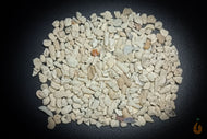 50g Korallenbruch | 5-20mm | Für Brackwasser / Salzwasser / Süßwasser