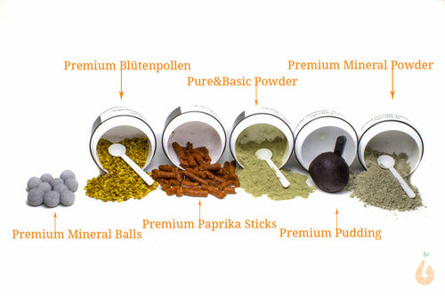 6in1 Aqua Birne - Premium und Pure&Basic Proben-Set | Futter + Mineralien