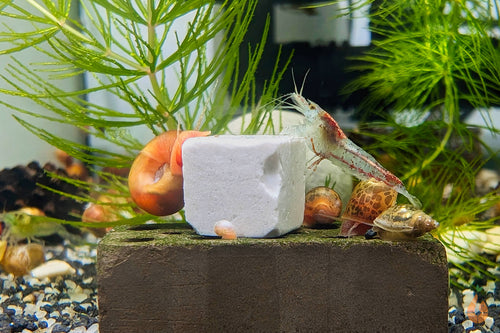 Aqua Birne - Premium Mineral Cubes | Mineralien Würfel für das Aquarium mit Garnelen und Schnecken