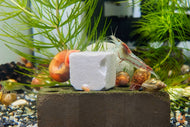 Aqua Birne - Premium Mineral Cubes | Mineralien Würfel für das Aquarium mit Garnelen und Schnecken