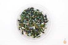 Lade das Bild in den Galerie-Viewer, Bucephalandra sp. ’Kedagang’  In Vitro Aquariumpflanze - Rarität XL Becher
