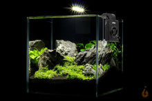 Lade das Bild in den Galerie-Viewer, Collar aFan PRO Mini Kühler | Aquarium Lüfter mit Temperatursensor am Aquarium
