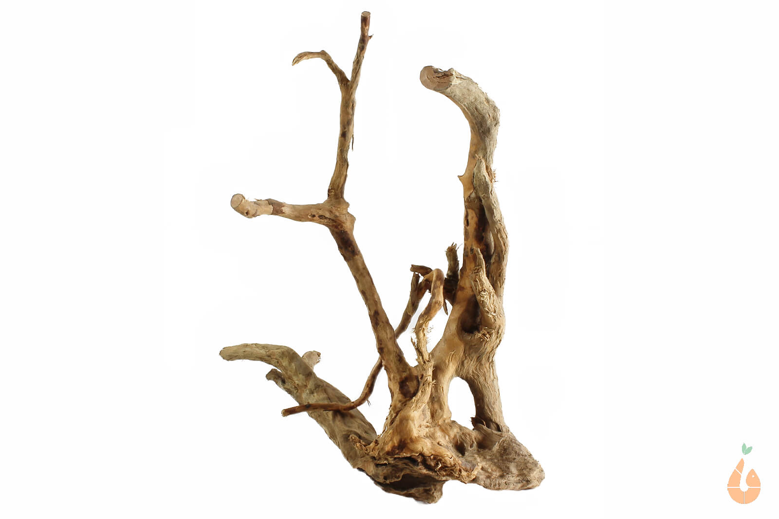 Spiderwood Nr.106 | 21x17x17cm (BxHxT)