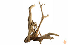 Lade das Bild in den Galerie-Viewer, Spiderwood Nr.106 | 21x17x17cm (BxHxT)
