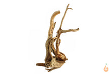 Lade das Bild in den Galerie-Viewer, Spiderwood Nr.106 | 21x17x17cm (BxHxT)
