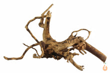 Lade das Bild in den Galerie-Viewer, Spiderwood Nr.108 | 24x12x21cm (BxHxT)
