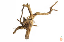Lade das Bild in den Galerie-Viewer, Spiderwood Nr.108 | 24x12x21cm (BxHxT)
