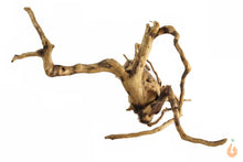 Lade das Bild in den Galerie-Viewer, Spiderwood Nr.108 | 24x12x21cm (BxHxT)
