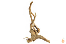 Lade das Bild in den Galerie-Viewer, Spiderwood Nr.116 | 20x24x14cm (BxHxT)
