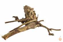 Lade das Bild in den Galerie-Viewer, Spiderwood Nr.130 | 19x8x16cm (BxHxT)
