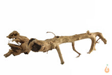 Lade das Bild in den Galerie-Viewer, Moorwurzel Nr.133 | 17x5x11cm (BxHxT)
