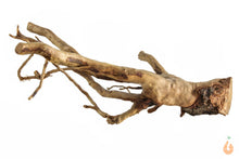 Lade das Bild in den Galerie-Viewer, Spiderwood Nr.139 | 18x7x12cm (BxHxT)
