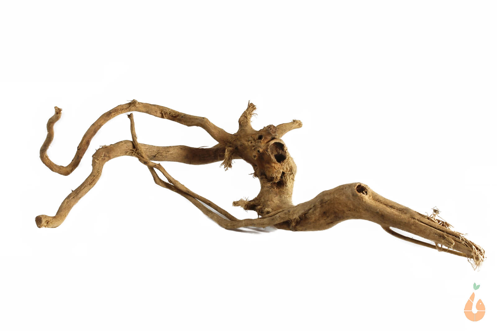 Spiderwood Nr.150 | 19x6x16cm (BxHxT)