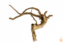 Lade das Bild in den Galerie-Viewer, Spiderwood Nr.150 | 19x6x16cm (BxHxT)
