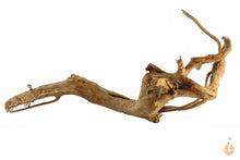 Lade das Bild in den Galerie-Viewer, Spiderwood Nr.150 | 19x6x16cm (BxHxT)
