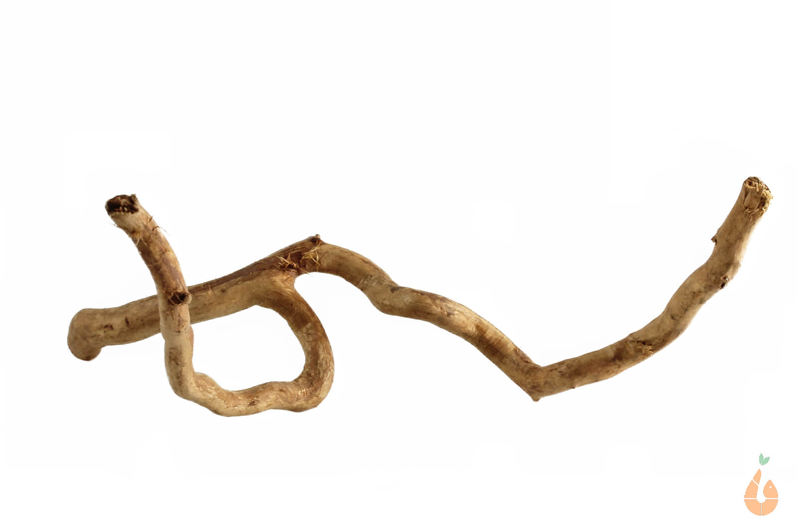 Moorwurzel Nr.153 | 19x8x13cm (BxHxT)