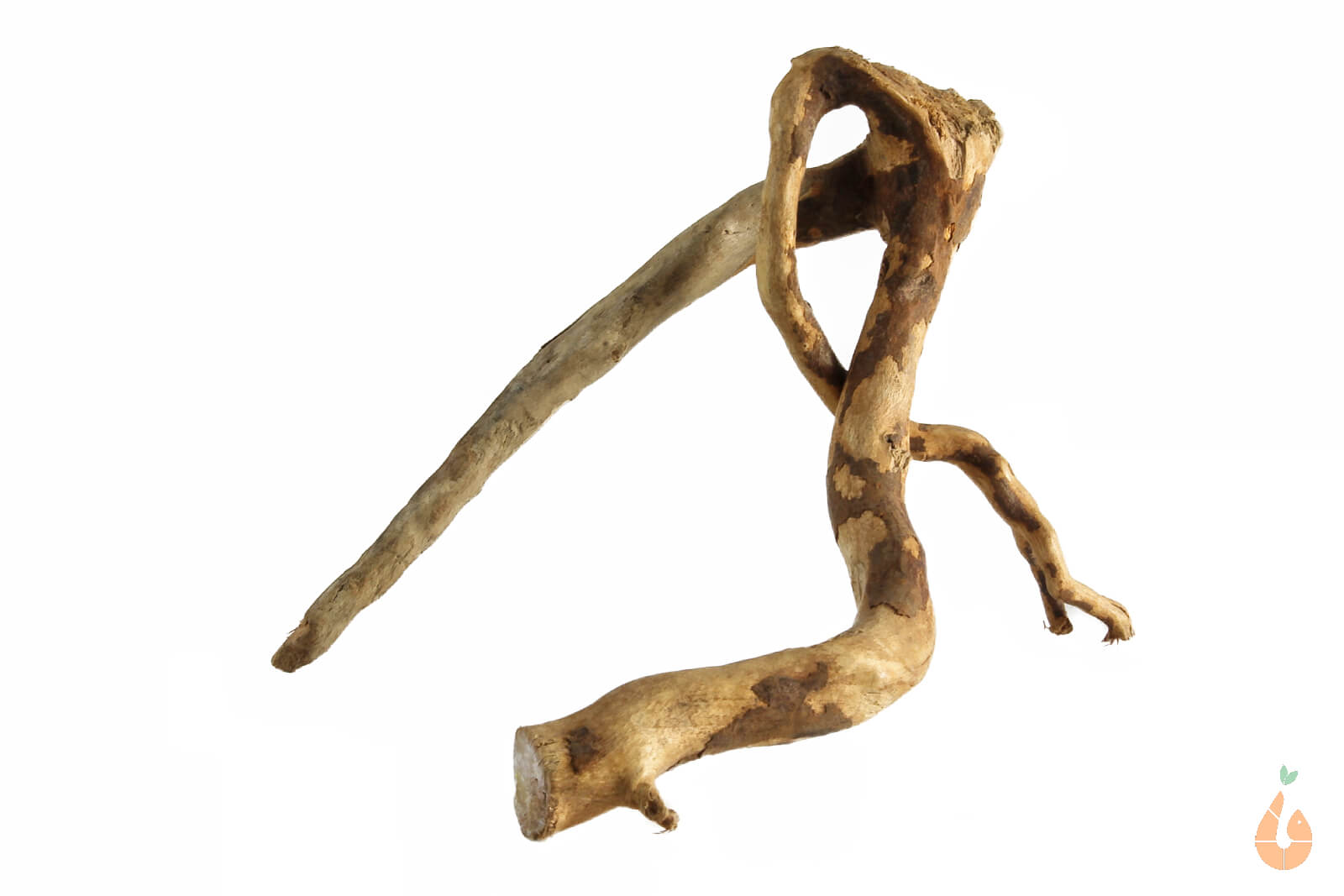 Moorwurzel Nr.154 | 12x8x12cm (BxHxT)