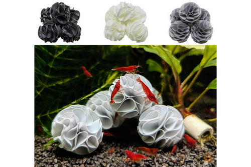 5er Set Baby Shrimp Shelter | Garnelen Unterschlupf mit Bloody Mary Garnelen im Aquarium Übersicht