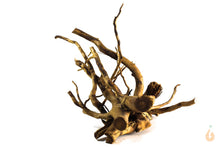 Lade das Bild in den Galerie-Viewer, Wurzel-Birnes Überraschungs Spiderwood für das Aquarium
