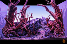 Lade das Bild in den Galerie-Viewer, Trauerweidenmoos | Vesicularia ferriei &quot;Weeping Moos&quot; | In Vitro Aquariummoos im Aquascape Aquarium mit Hardscape
