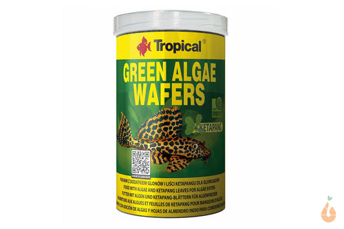 Tropical Green Algae Wafers | Algen Futtertabletten Hauptfutter