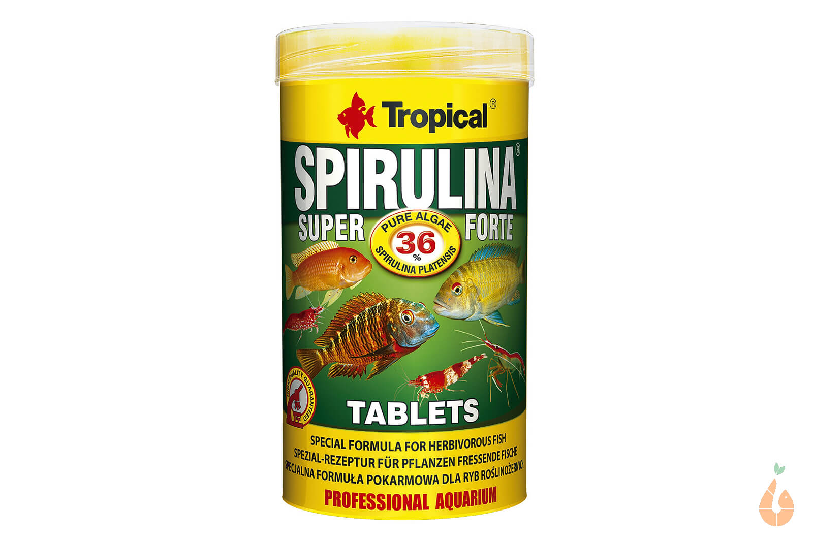 Tropical Super Spirulina Forte Tablets | Algen Futtertabletten Hauptfutter