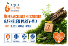 Lade das Bild in den Galerie-Viewer, Überraschungs Neocaridina Garnelen Party-Mix | 10+1 &amp; kostenlose Probe
