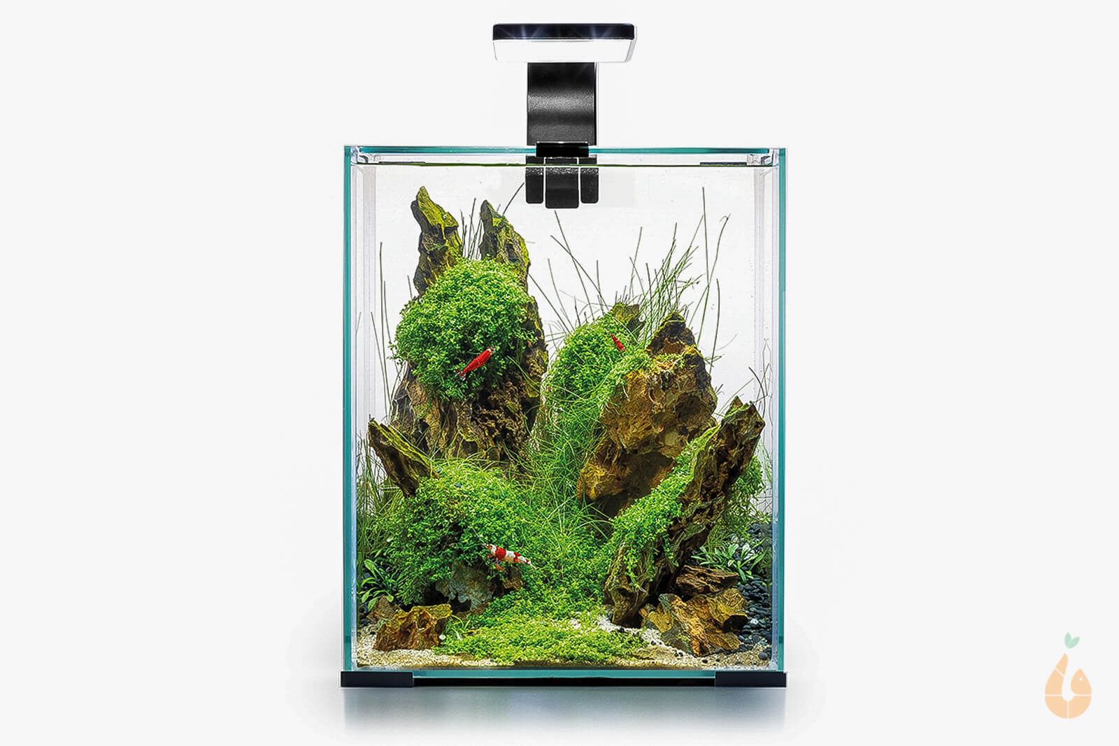 Aquael Shrimp Set Day&Night | Nano Aquarium Komplett-Set schwarz