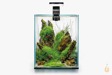 Lade das Bild in den Galerie-Viewer, Aquael Shrimp Set Day&amp;Night | Nano Aquarium Komplett-Set schwarz
