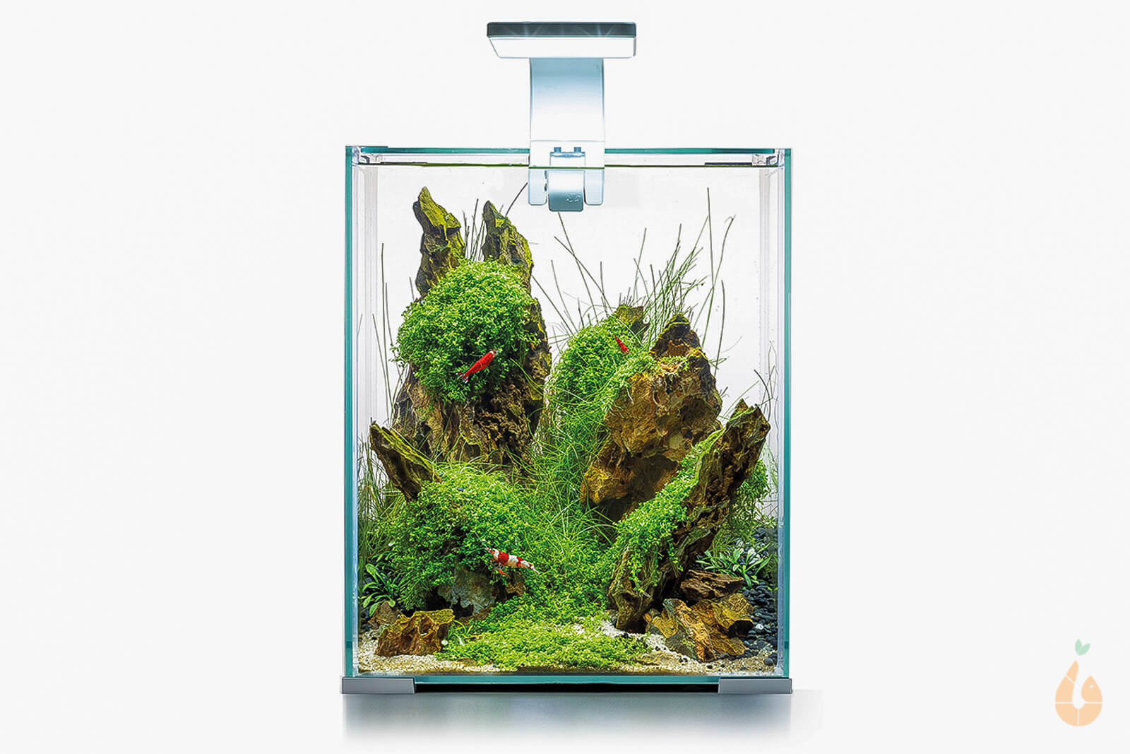 Aquael Shrimp Set Day&Night | Nano Aquarium Komplett-Set weiß