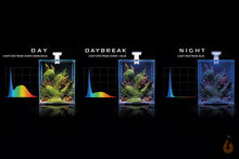 Lade das Bild in den Galerie-Viewer, Aquael Shrimp Set Day&amp;Night | Nano Aquarium Komplett-Set Tag und Nacht Beleuchtung
