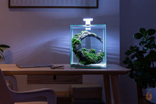 Lade das Bild in den Galerie-Viewer, Aquael Shrimp Set Day&amp;Night | Nano Aquarium Komplett-Set im Wohnzimmer bei Nacht
