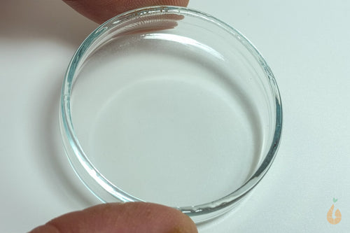 Futterschüssel / Futterschale aus Glas | mittel 40mm