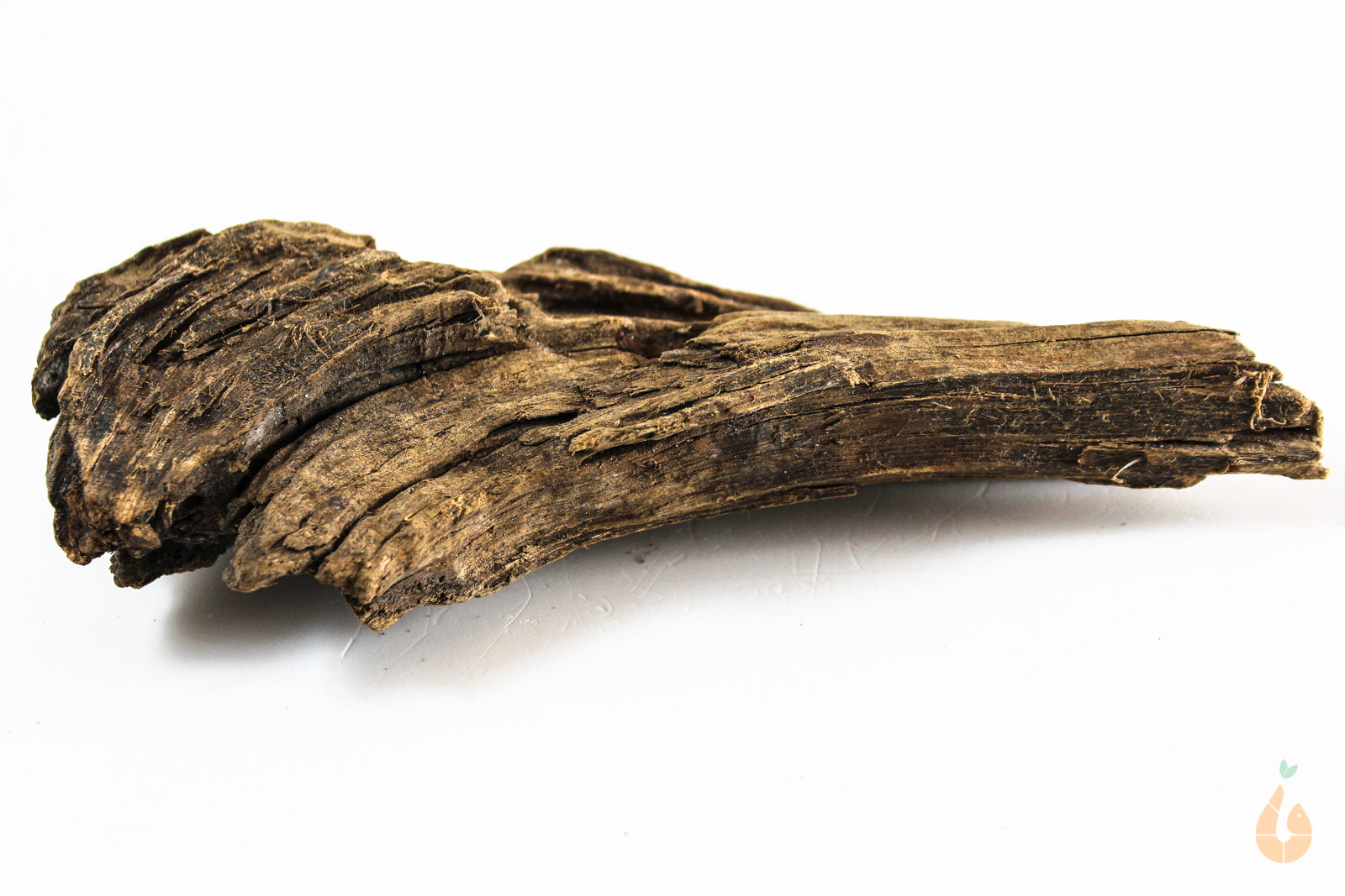 Driftwood Nr.231 | 18x4x9cm (BxHxT)