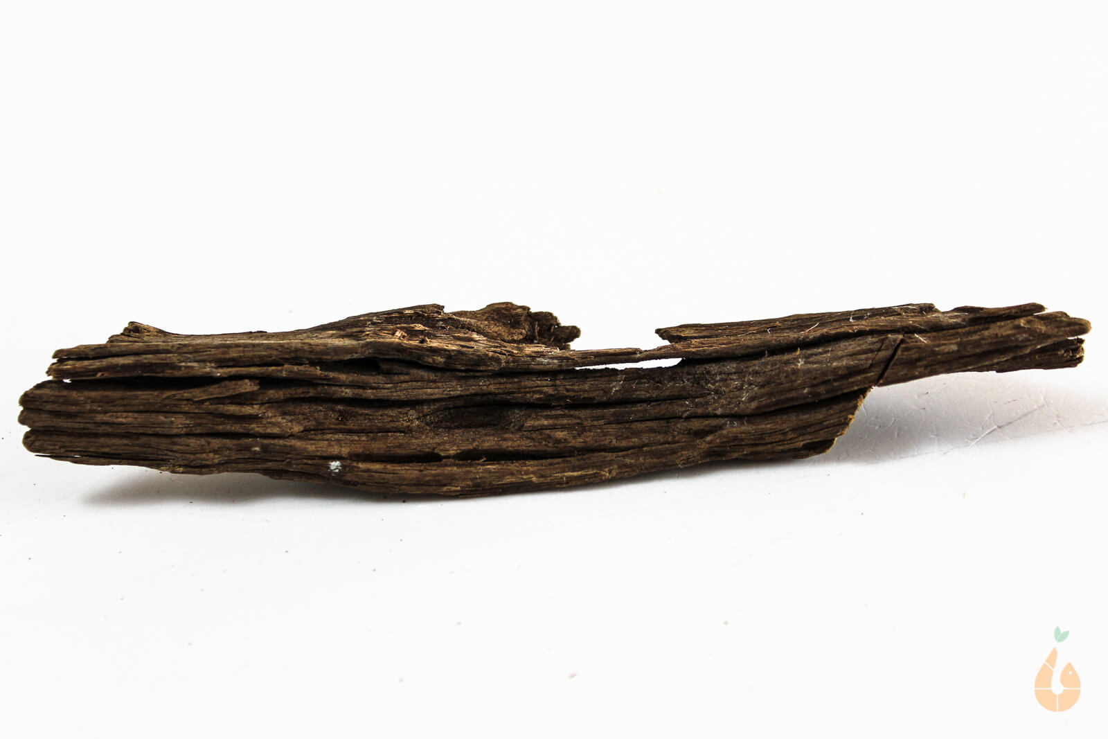 Driftwood Nr.239 | 17x3x4cm (BxHxT)
