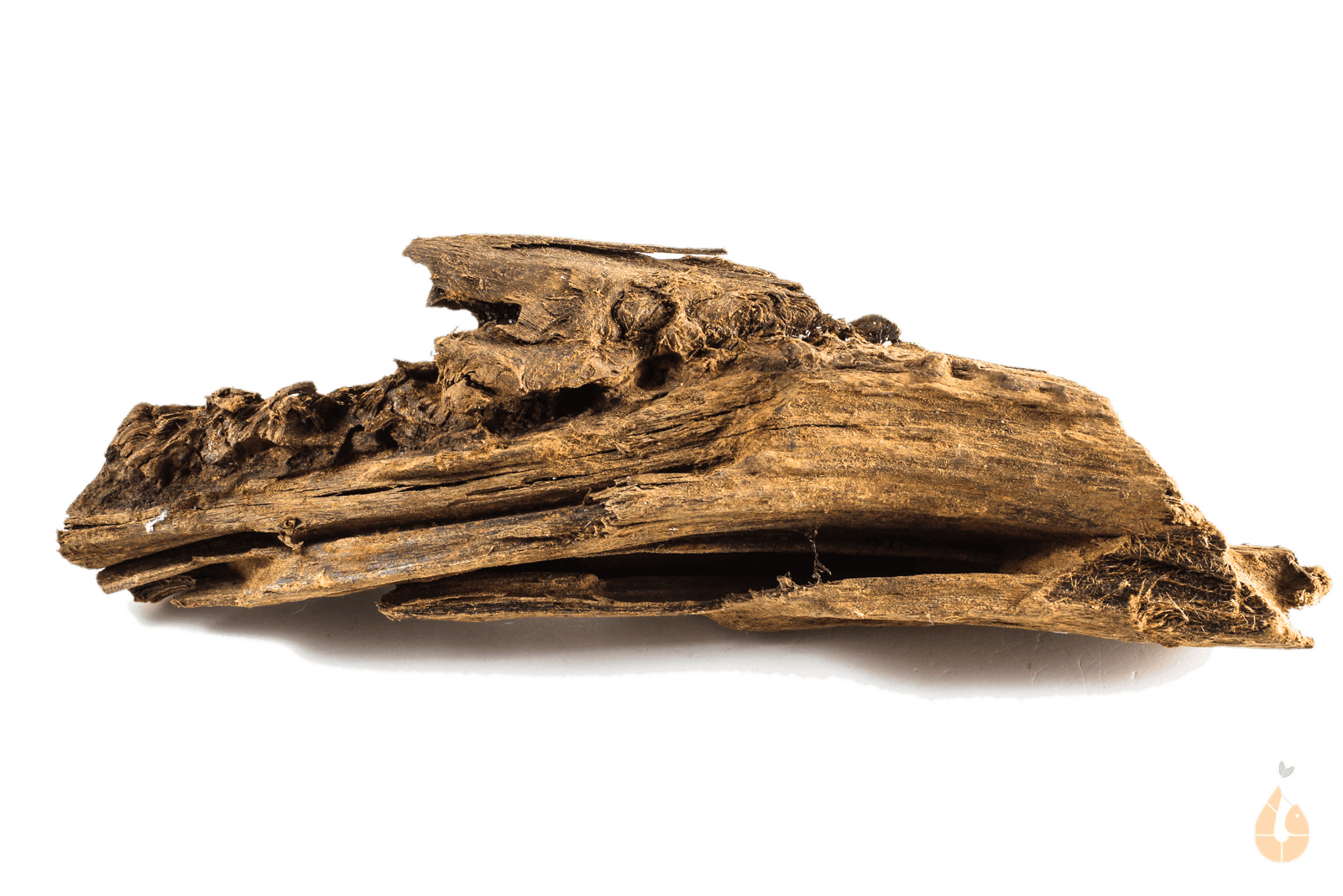 Driftwood Nr.182 | 22x6x5cm (BxHxT)