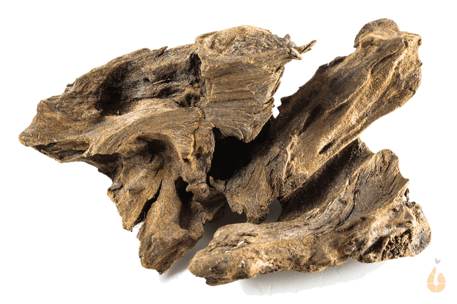 Driftwood Nr.185 | 18x9x10cm (BxHxT)