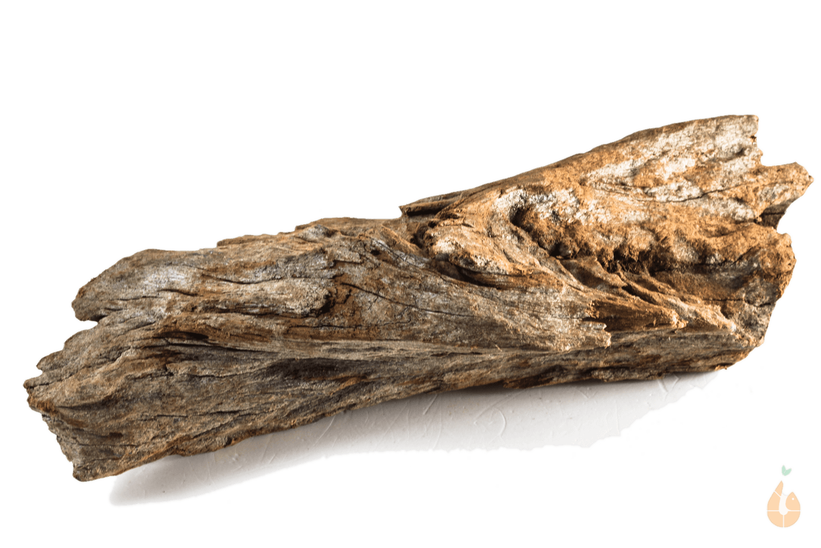 Driftwood Nr.187 | 20x7x8cm (BxHxT)