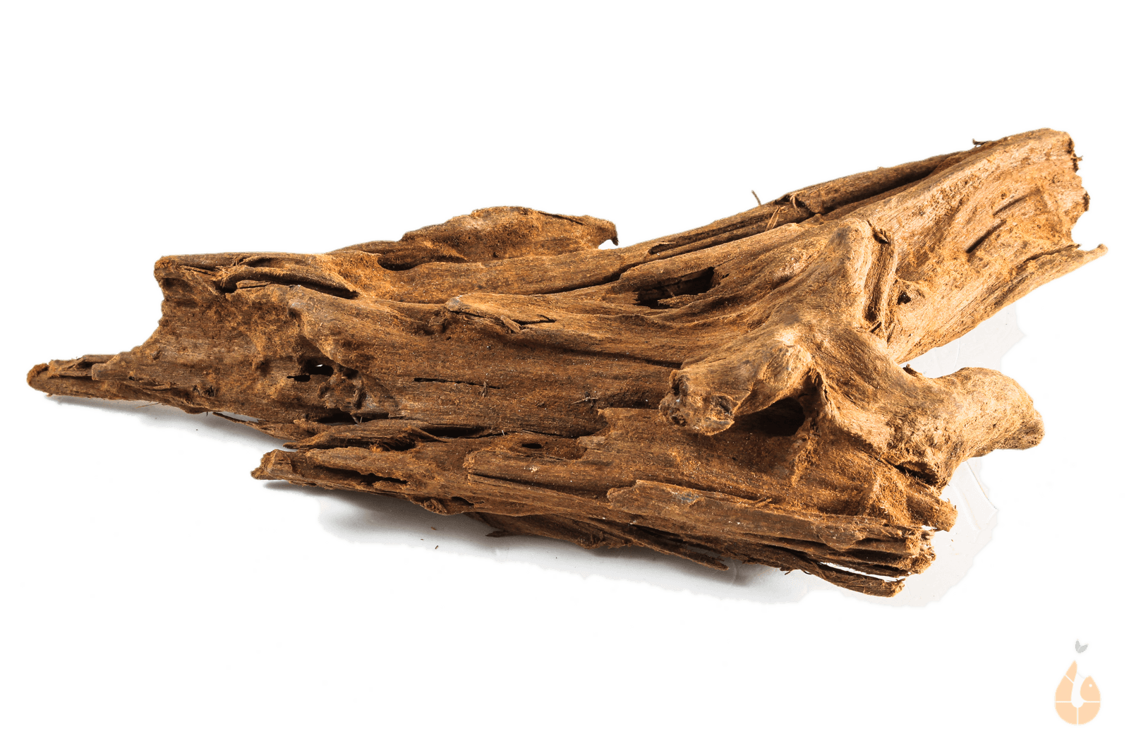 Driftwood Nr.188 | 20x5x9cm (BxHxT)