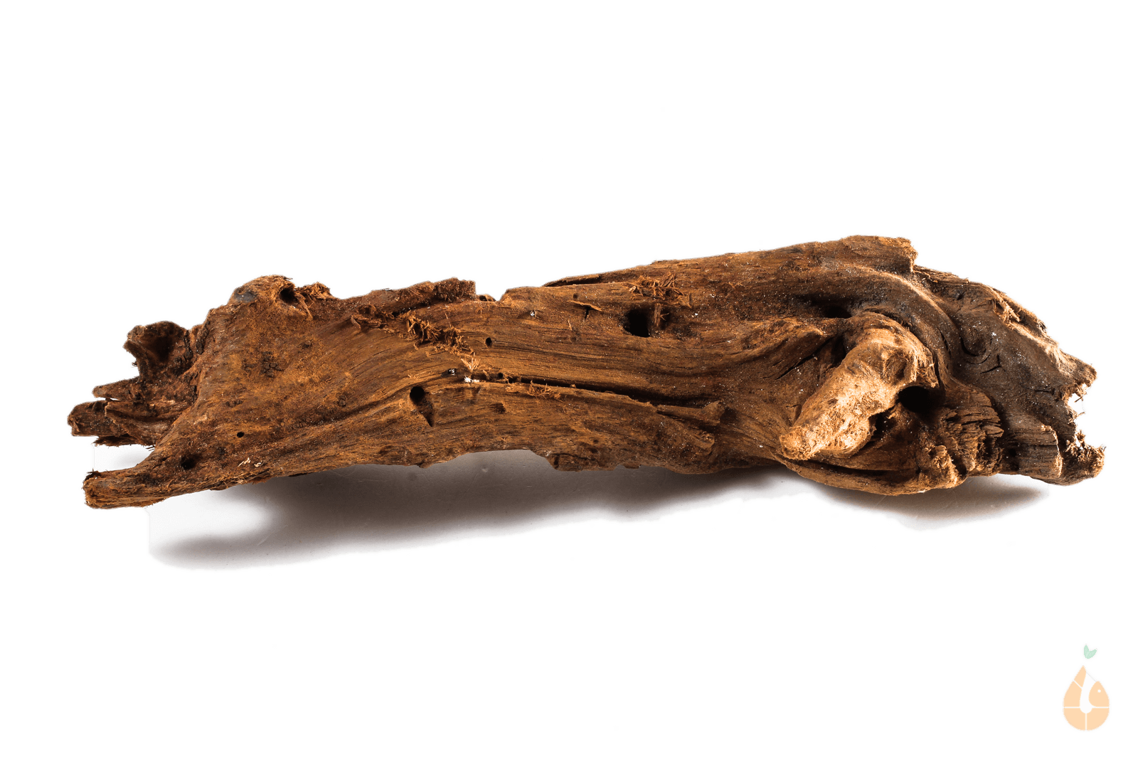 Driftwood Nr.197 | 22x5x6cm (BxHxT)